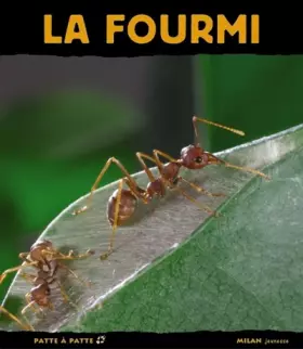 Couverture du produit · FOURMI NE