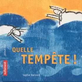 Couverture du produit · Quelle tempête !
