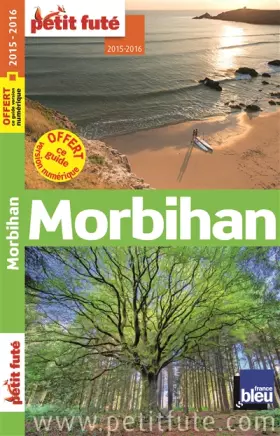 Couverture du produit · Petit Futé Morbihan