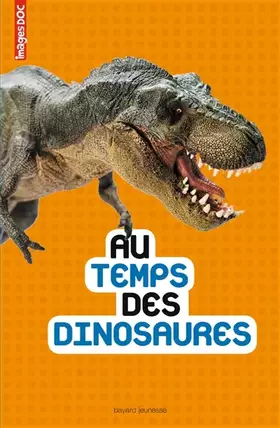 Couverture du produit · Au temps des dinosaures