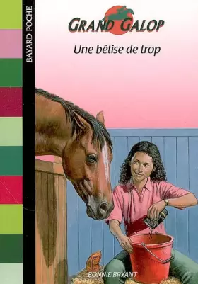Couverture du produit · Une bêtise de trop