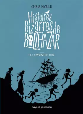 Couverture du produit · LE LABYRINTHE D'OR