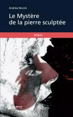 Couverture du produit · Le Mystère de la pierre sculptée