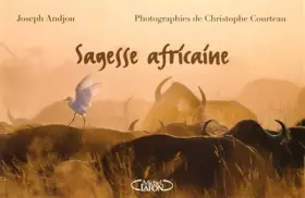 Couverture du produit · SAGESSE AFRICAINE
