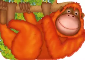 Couverture du produit · L'oran-outang