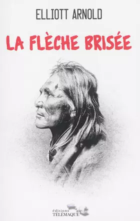 Couverture du produit · La Fleche Brisee