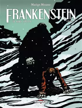 Couverture du produit · Frankenstein, Tome 3 : Le prométhée moderne