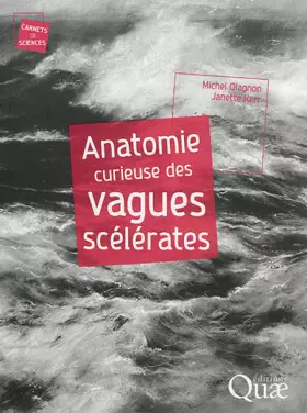 Couverture du produit · Anatomie curieuse des vagues scélérates