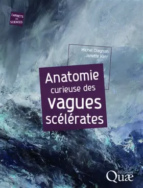 Couverture du produit · Anatomie curieuse des vagues scélérates