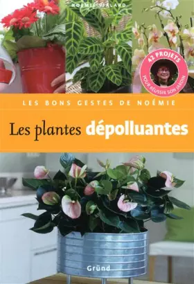 Couverture du produit · Les plantes dépolluantes