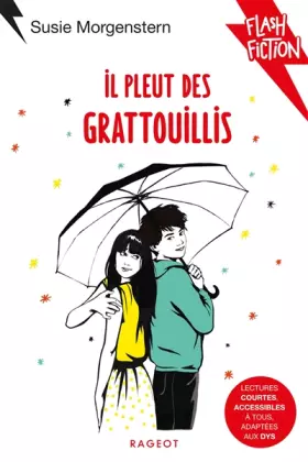 Couverture du produit · Il pleut des grattouillis