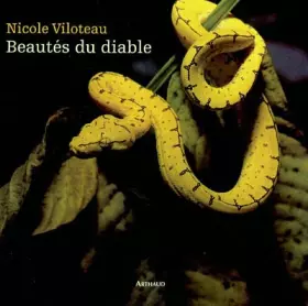Couverture du produit · Beautés du diable