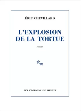Couverture du produit · L'explosion de la tortue