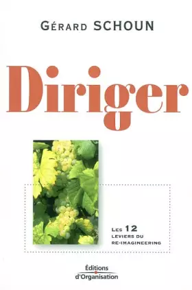 Couverture du produit · Diriger : Les 12 leviers du re-imagineering