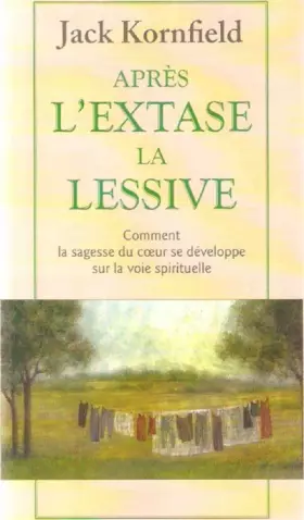 Couverture du produit · Après l'extase, la lessive