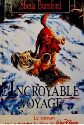 Couverture du produit · l incroyable voyage