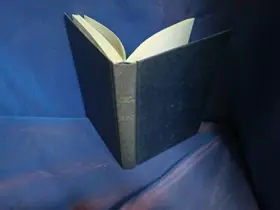 Couverture du produit · Louis Xv Le Bien Aimé