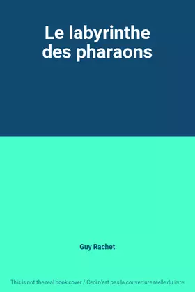 Couverture du produit · Le labyrinthe des pharaons