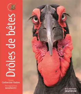 Couverture du produit · Drôles de bêtes