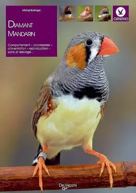 Couverture du produit · Le Diamant mandarin