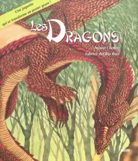 Couverture du produit · LES DRAGONS