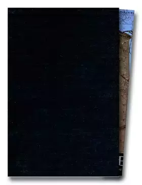 Couverture du produit · France romane, tome 1 : XIe siècle