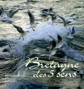 Couverture du produit · Bretagne des 5 sens