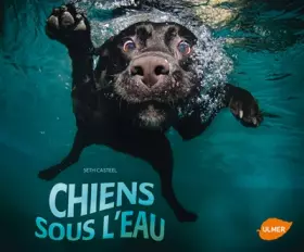 Couverture du produit · Chiens sous l'eau