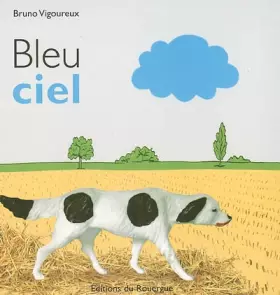 Couverture du produit · Bleu ciel