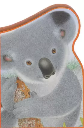 Couverture du produit · Polka le koala: L'Australie
