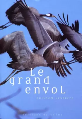 Couverture du produit · Le grand envol