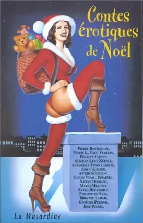 Couverture du produit · Contes érotiques de Noël