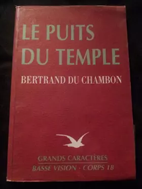Couverture du produit · Le puits du temple (Collection Basse vision)