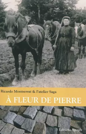 Couverture du produit · A fleur de pierre