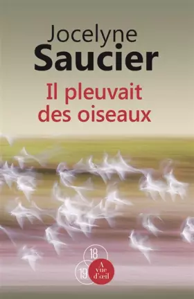 Couverture du produit · Il pleuvait des oiseaux