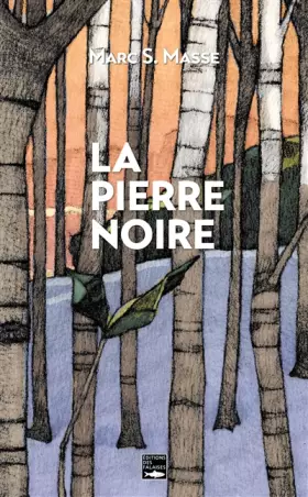 Couverture du produit · La Pierre noire