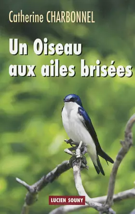 Couverture du produit · OISEAU AUX AILES BRISEES