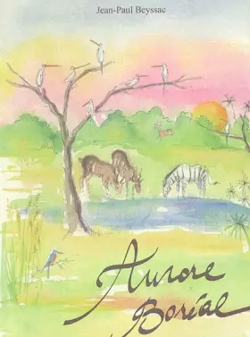 Couverture du produit · Aurore Boréal