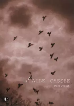 Couverture du produit · l'Aile Cassée