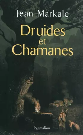 Couverture du produit · Druides et chamanes