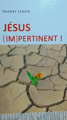 Couverture du produit · Jésus (im)pertinent !