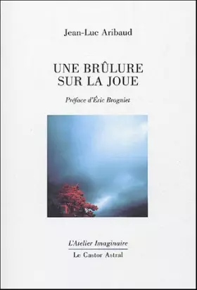 Couverture du produit · Une brûlure sur la joue
