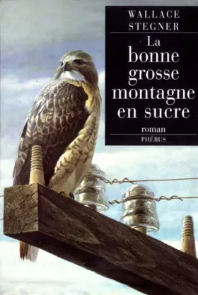 Couverture du produit · La Bonne Grosse Montagne en sucre