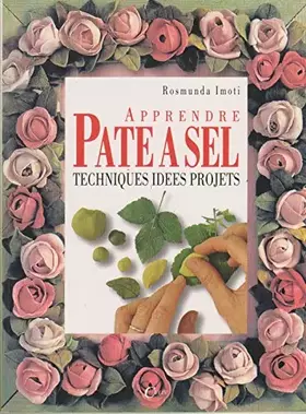 Couverture du produit · apprendre pâte à sel, techniques, idées, projets