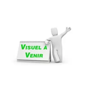 Couverture du produit · La banqueroute