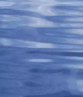 Couverture du produit · EXPERIENCE BIOETHIQUE RESPONS