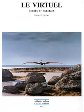 Couverture du produit · Le virtuel : Vertus et vertiges