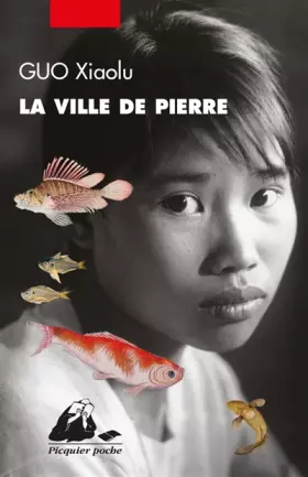 Couverture du produit · La Ville de Pierre