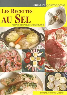 Couverture du produit · Recettes au Sel (les)