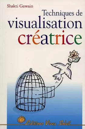 Couverture du produit · Techniques de visualisation créatrice